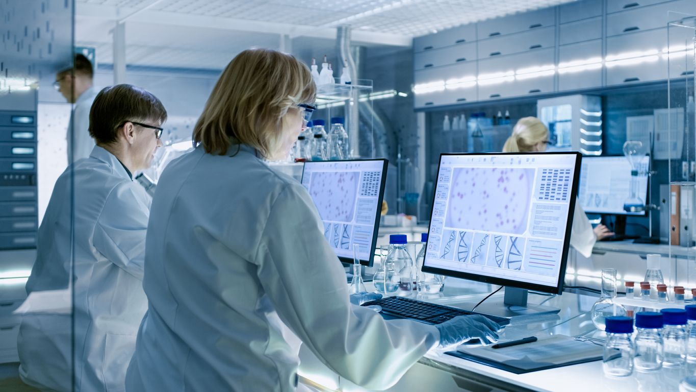 Purity safety audit